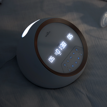 Load image into Gallery viewer, Spectra Dual S Breast Pump